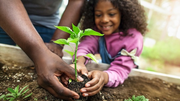 Young girl with father planting